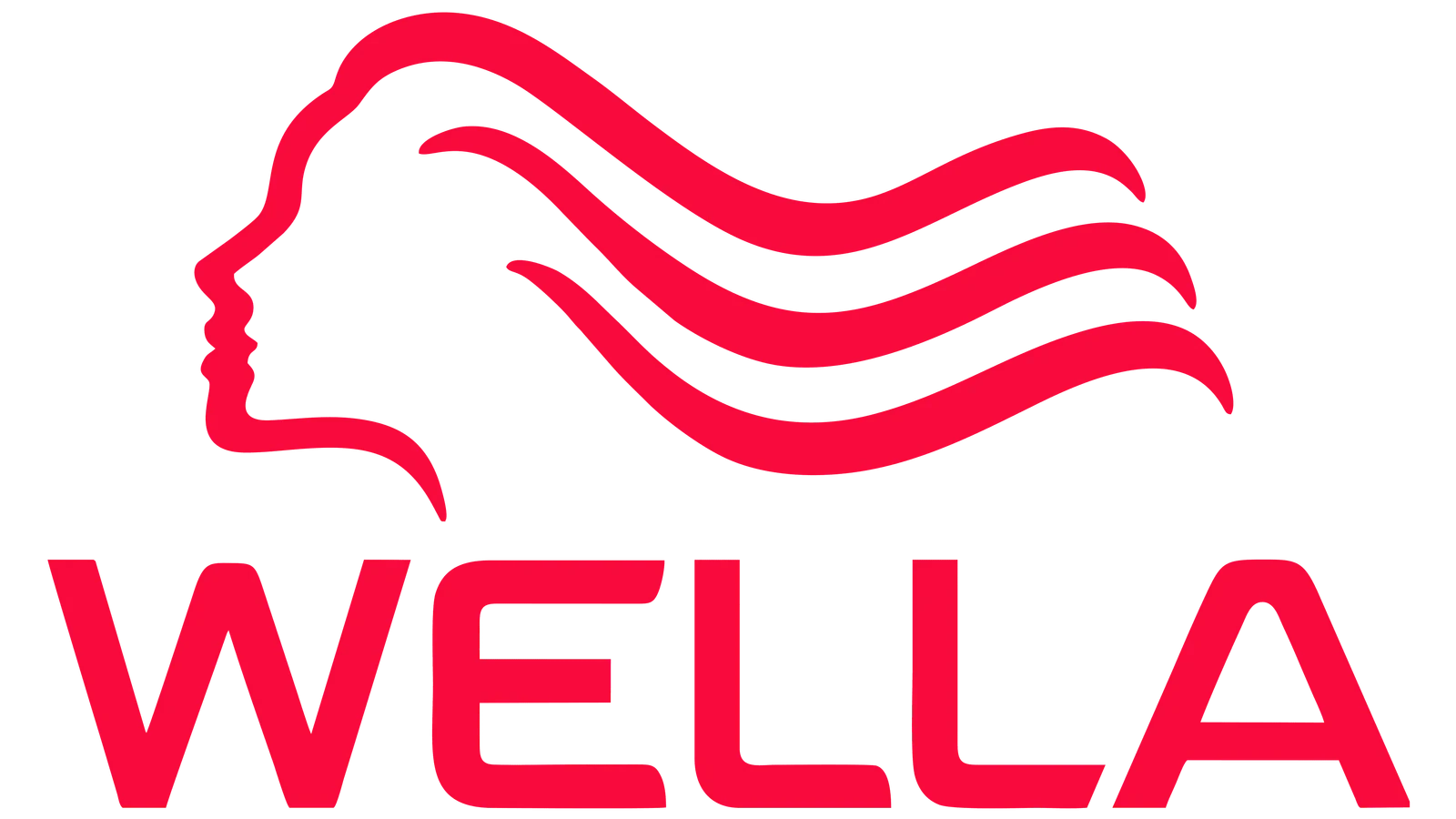 WELLA Brands